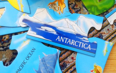 His reading comprehension dazzles us daily