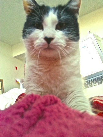 I NEED to knead you, NOW.