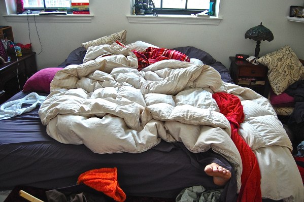 What's in this Mess?