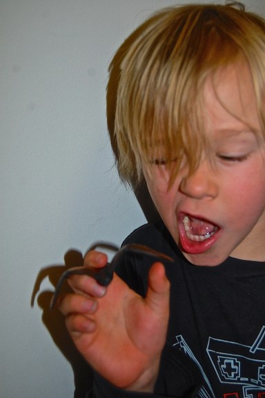 Plenty more where this came from!