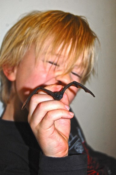 2014-02-05 Fruit Bat Boy (2)