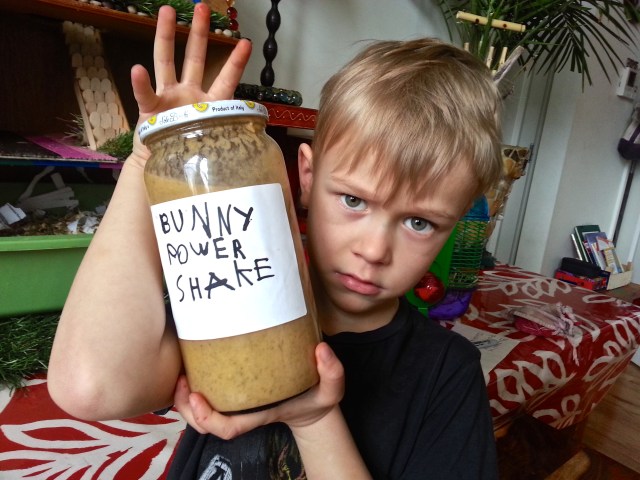 pellets, metamucil, yogurt, pumpkin, pineapple, Ensure 