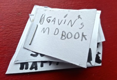 Gavin's Memorial Day Book