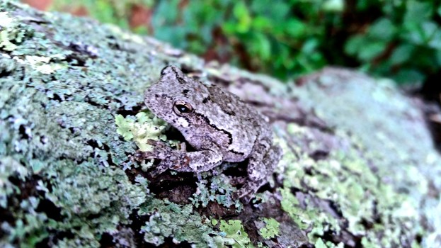 Stunning detail and subtlety.  