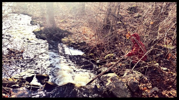 "MUST POKE WITH STICK."