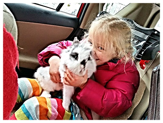 Fluff and oh, a GIRL!