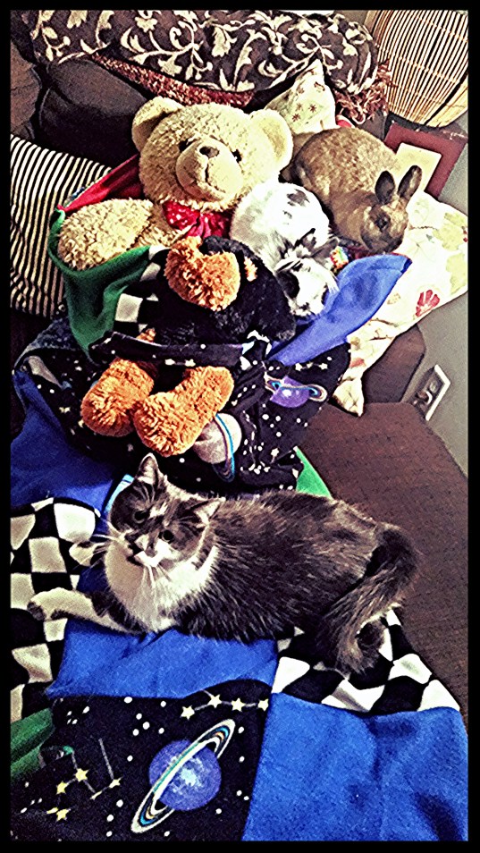 Animals Not Included!