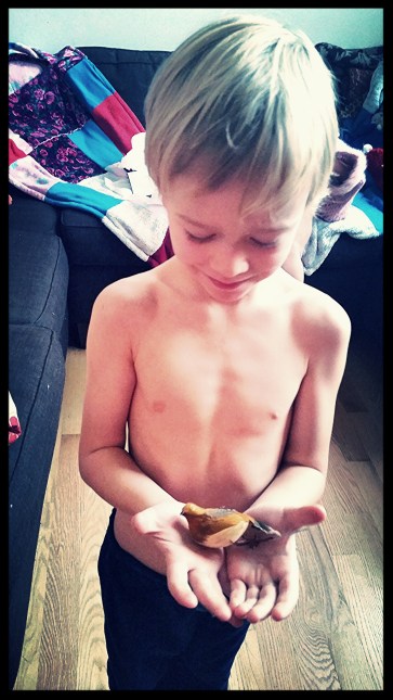 The tender side of Boy