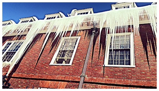 Hanging off of Harvard