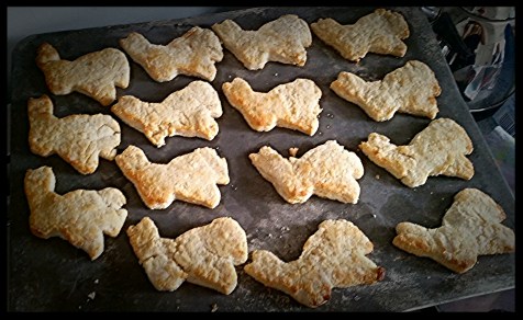 Bunny Biscuits