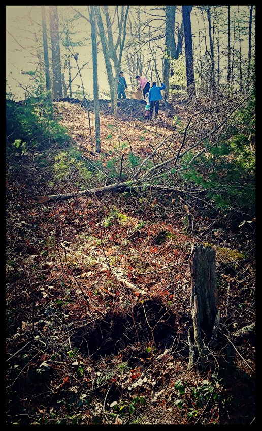 Stump marks the spot