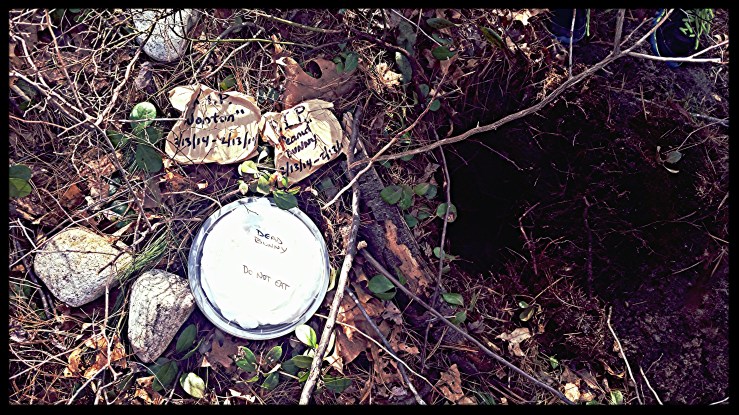 Dead Bunny - Do Not Eat