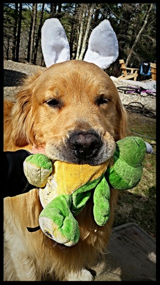 2015-04-19 16.02.46-1