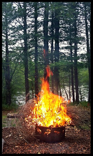 Lighting the Christmas Tree