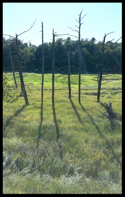 Ooh de lally, ooh de lally 