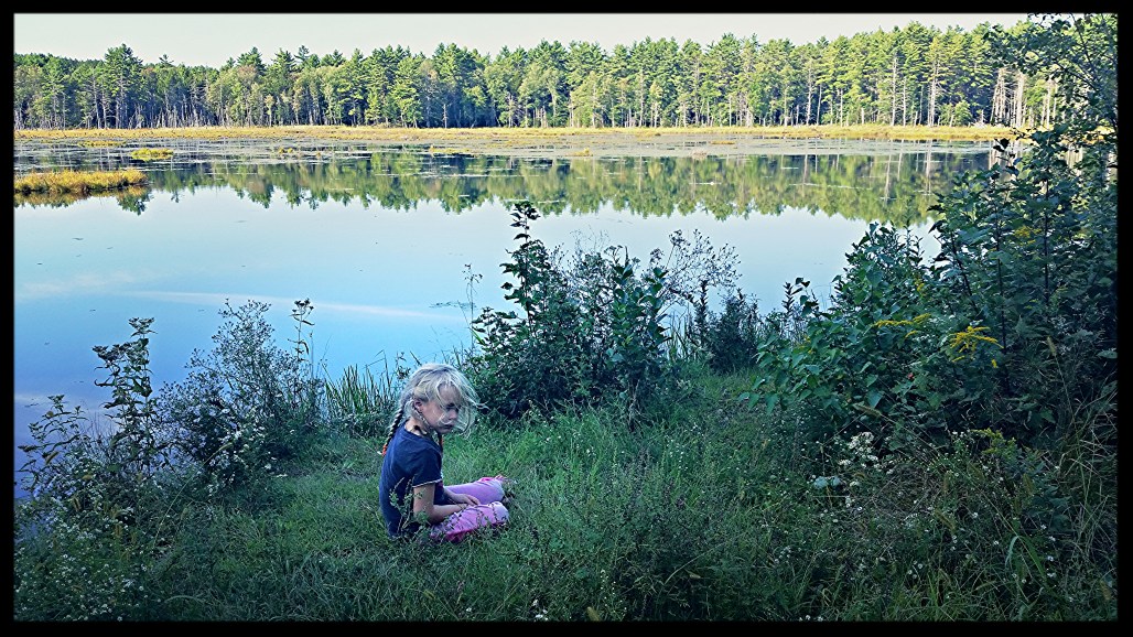 Communing with Pondy the Dry Frog