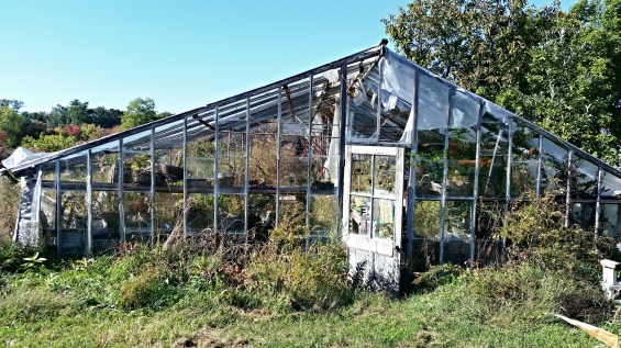 "That's Halloween Day" says ClaraJane