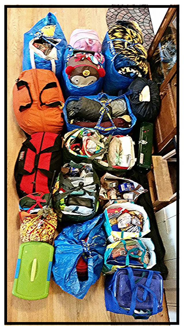 IMG_20151009_120437.jpg image