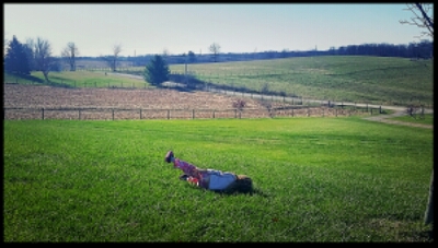 IMG_20151126_071429.jpg image