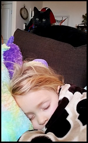 2015-12-30 13.56.26-1