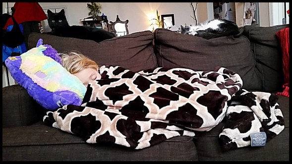 2015-12-30 13.57.20-1