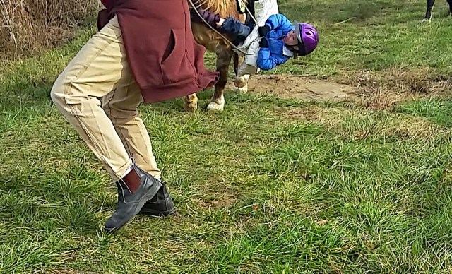 IMG_20151127_122719.jpg image