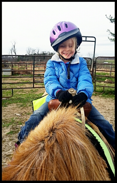 IMG_20151127_174926.jpg image