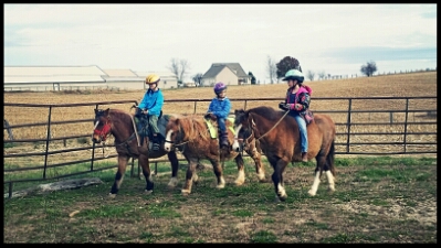 IMG_20151130_223219.jpg image