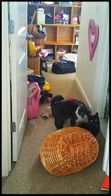 Detreitus of I-Don't-Know-What