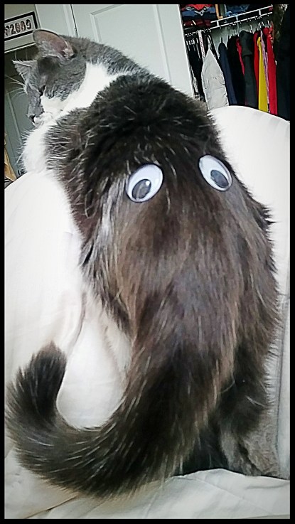 2016-05-03 08.04.25-1