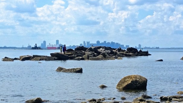 20160629_144118 rock boys