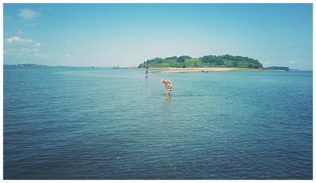 2016-08-11 11.15.15-1