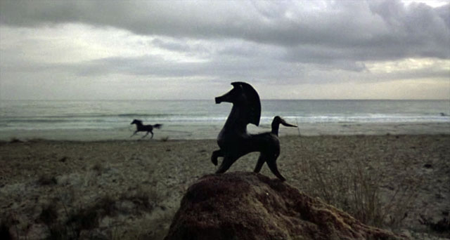 black-stallion-besephus