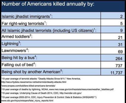 Number of Americans Killed.jpg