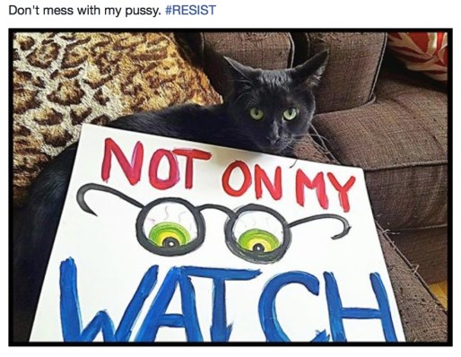 screen-shot-2017-01-29-at-5-08-47-pm