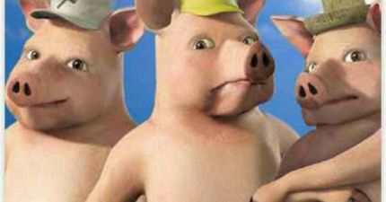 3 pigss