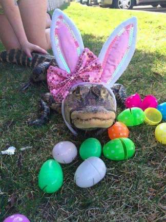 2017-04-17 20.05.19 -Easter in Florida