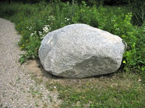 a rock.jpg