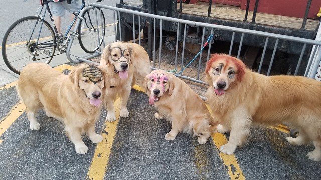 2017-09-24 18.39.20.jpg