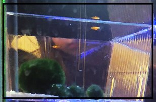 2017-12-12 07.56.41-2.jpg