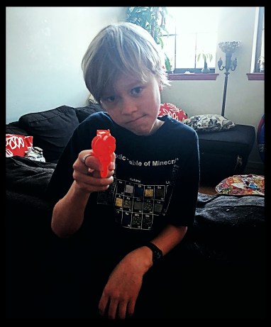 2018-02-12 15.37.24-1.jpg