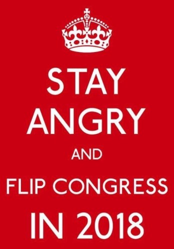 STAY ANGRY AND FLIP CONGRESS 2018