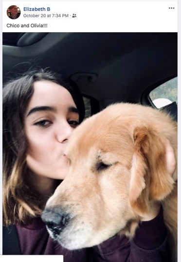 Screenshot 2018-10-24 11.00.14