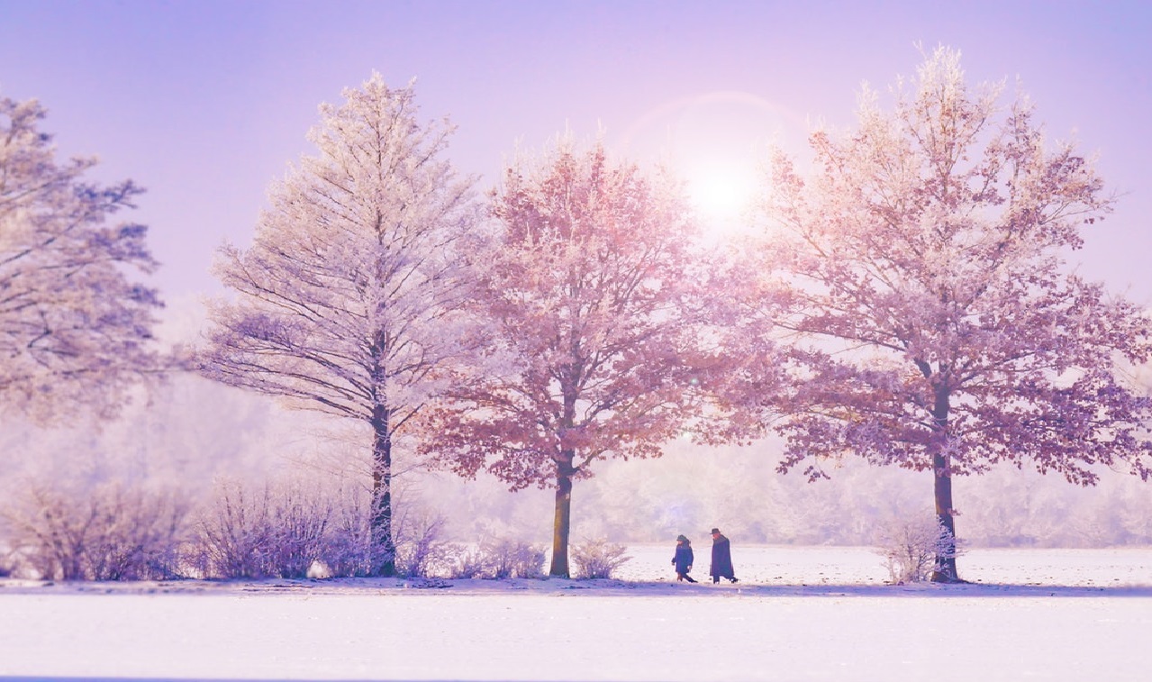 del - walking in a winter wonderland