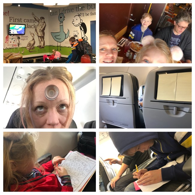 2019-01-25 flight collage