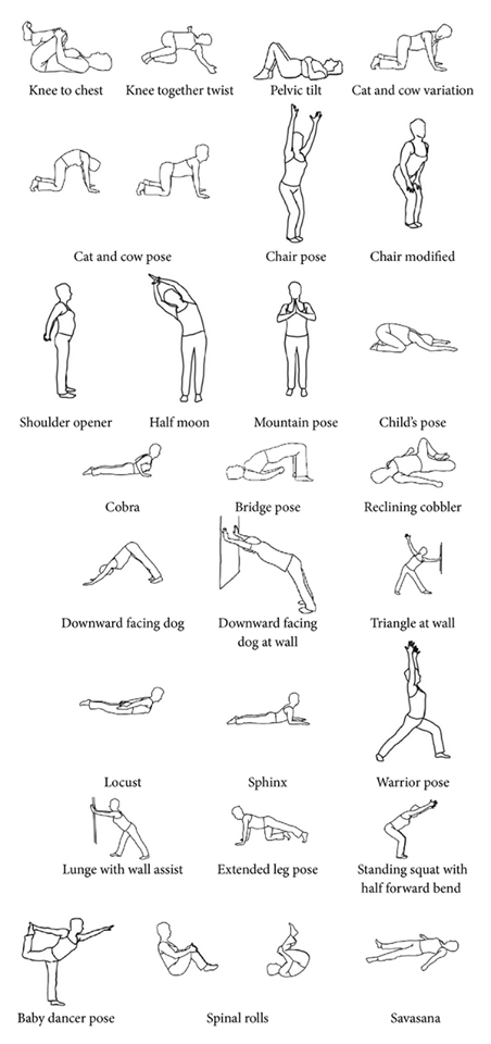 Yoga BACK PAIN HEALTH.png